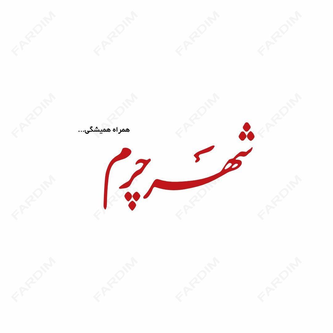 وکتور لوگو شهر چرم